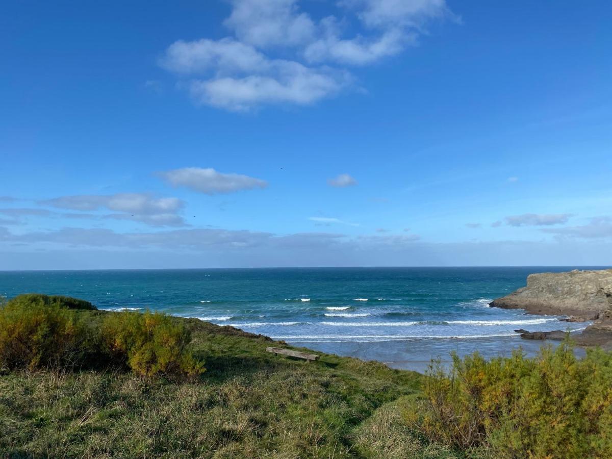 Ohana House - Unbeatable Location - Uk'S Best Beaches New Quay Dış mekan fotoğraf